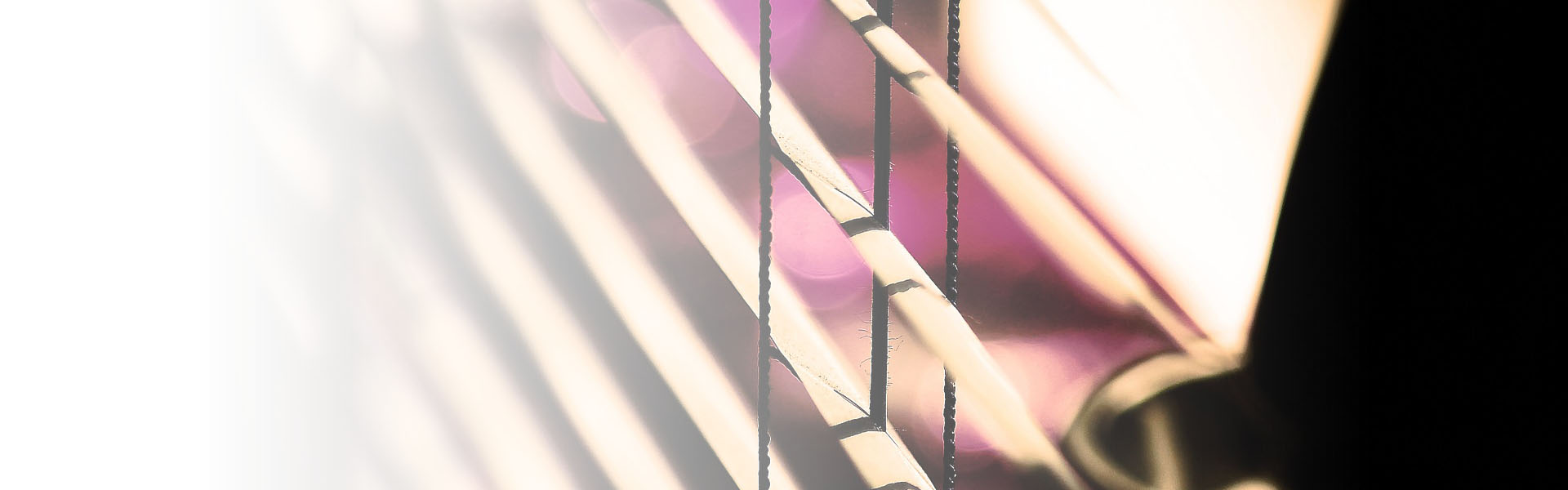 Persianista en galicia